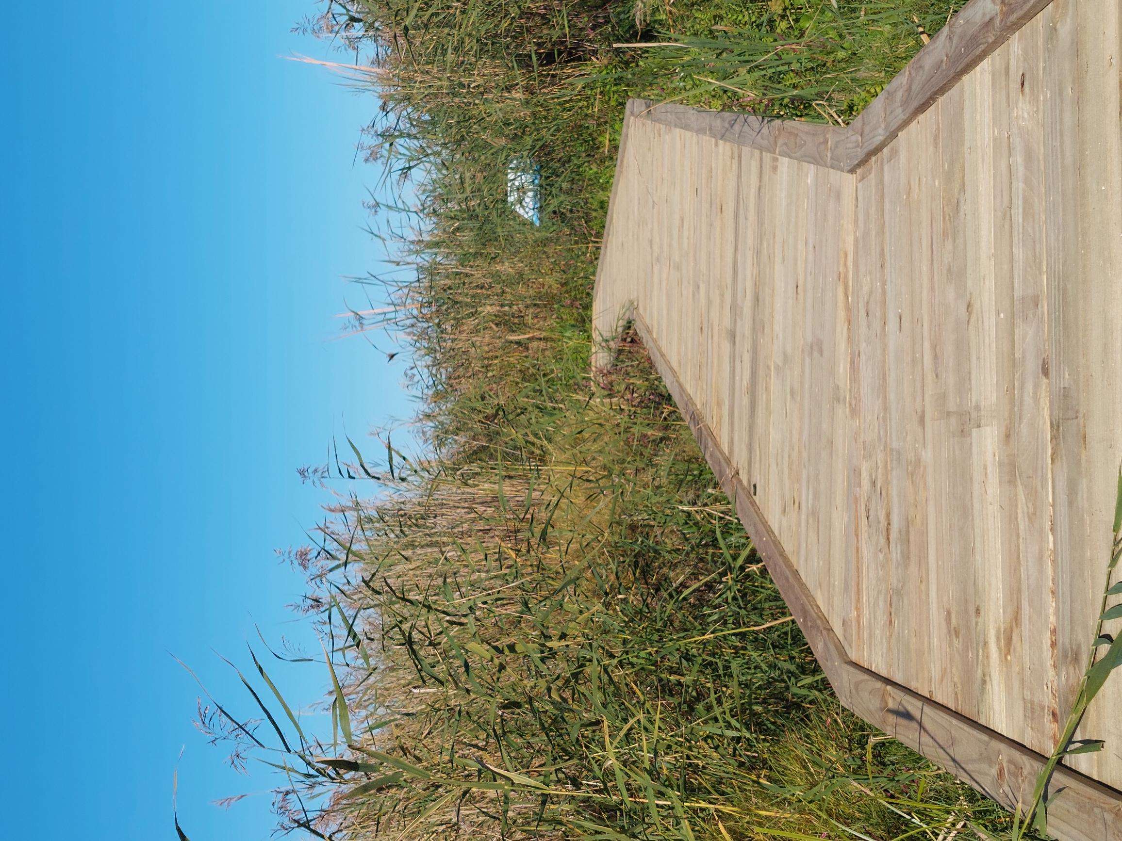 Photo of Clayton Bay Nature Boardwalk renewed decking