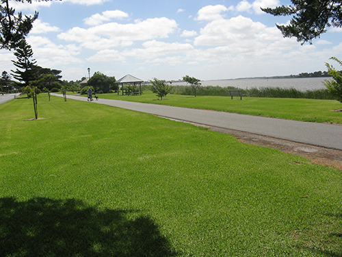 Richard Ballard Park 2 Richard Ballard Park