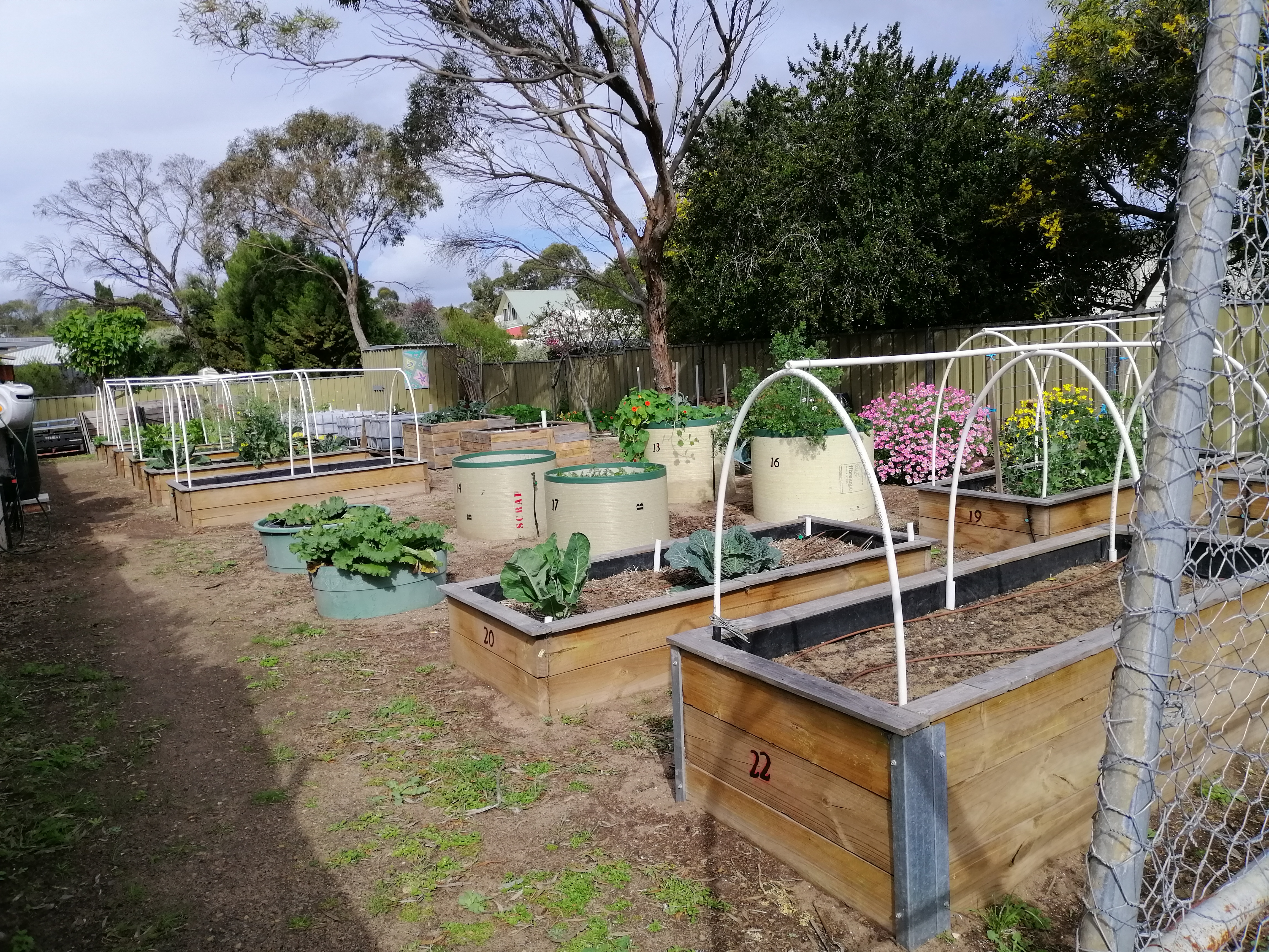 Clayton Bay Community Garden