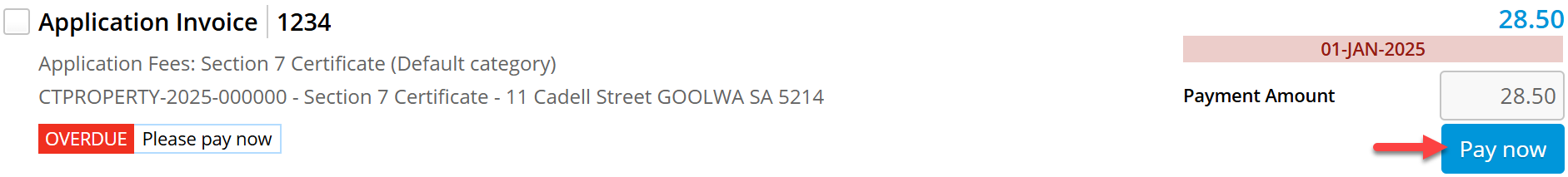 Invoice Line Item in Pay Now Portal