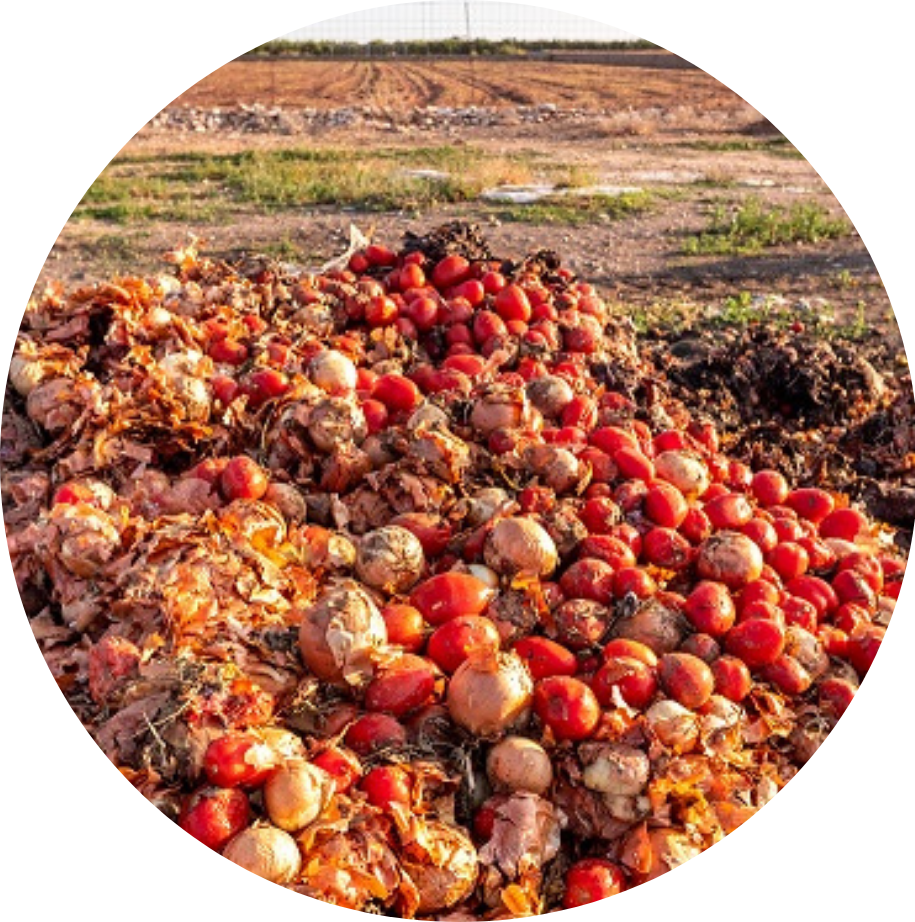 organic waste in landfill