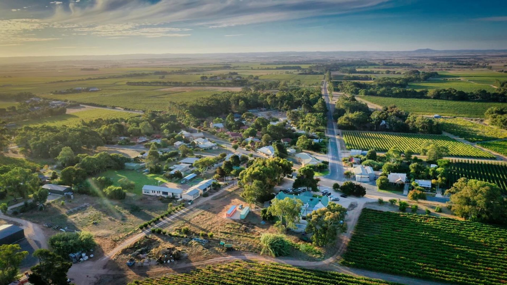 Langhorne Creek Drone Photo