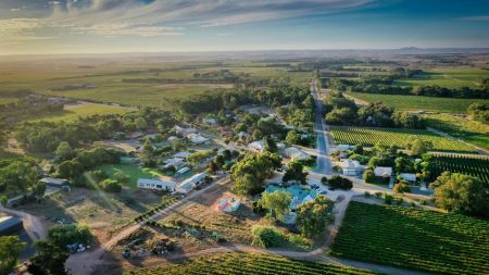 Langhorne Creek Drone Photo