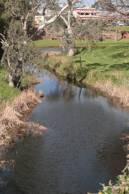 Strathalbyn angas river