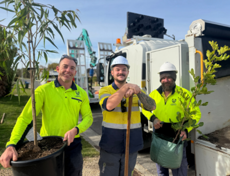 Group of Council Field Services staff getting ready for street planting with plants in their hands