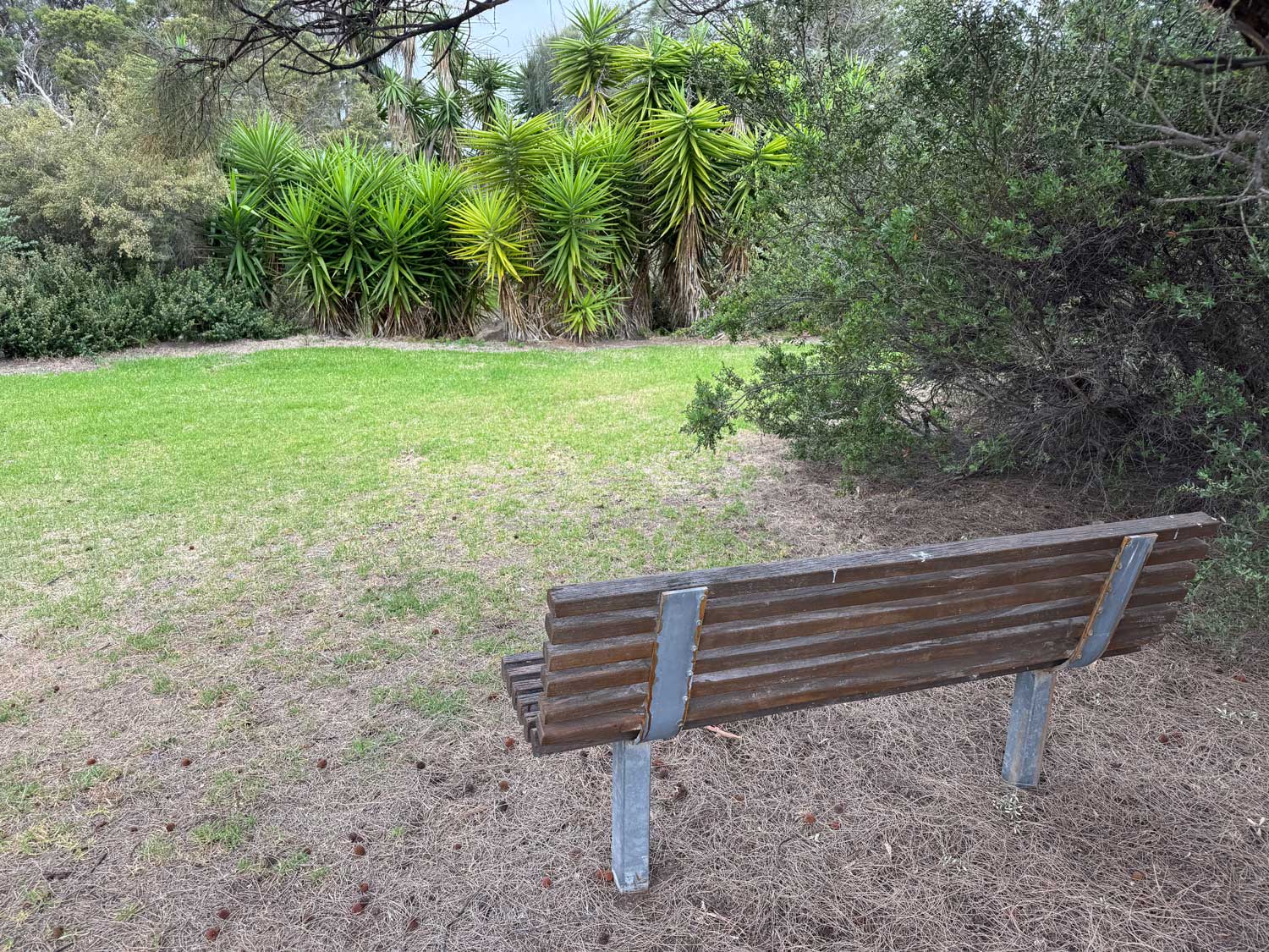 Seagull Reserve seat with surrounding plants