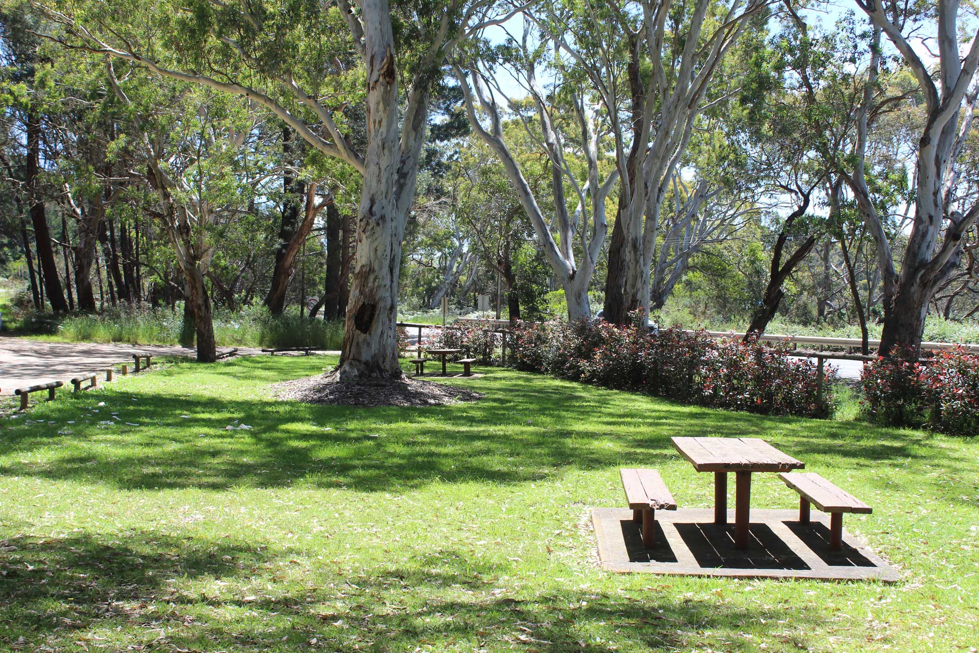 Reserve with picnic seating under trees and near a road