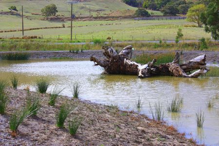 mount compass wetlands