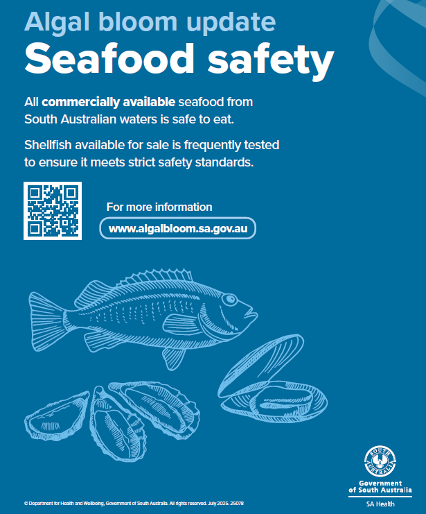 SA Health seafood safety poster with QR code and illustrations of a fish, scallop and mussles. Text says Algal blool update, Seafood Safety, All commercially available seafood from South Australian waters is safe to eat. Shellfish available for sale is frequently tested to ensure it meets strict safety standards. For more information visit www . algal . bloom . sa .gov . au