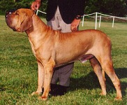 Prescribed breed