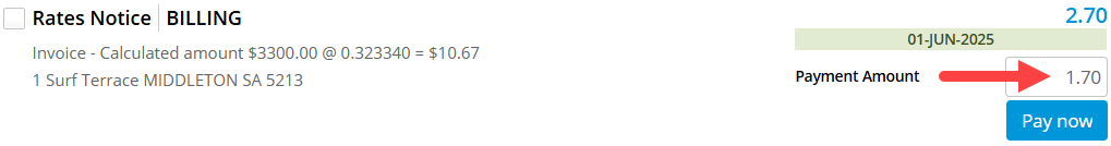 Pay Now Portal Option to Adjust Payment Amount