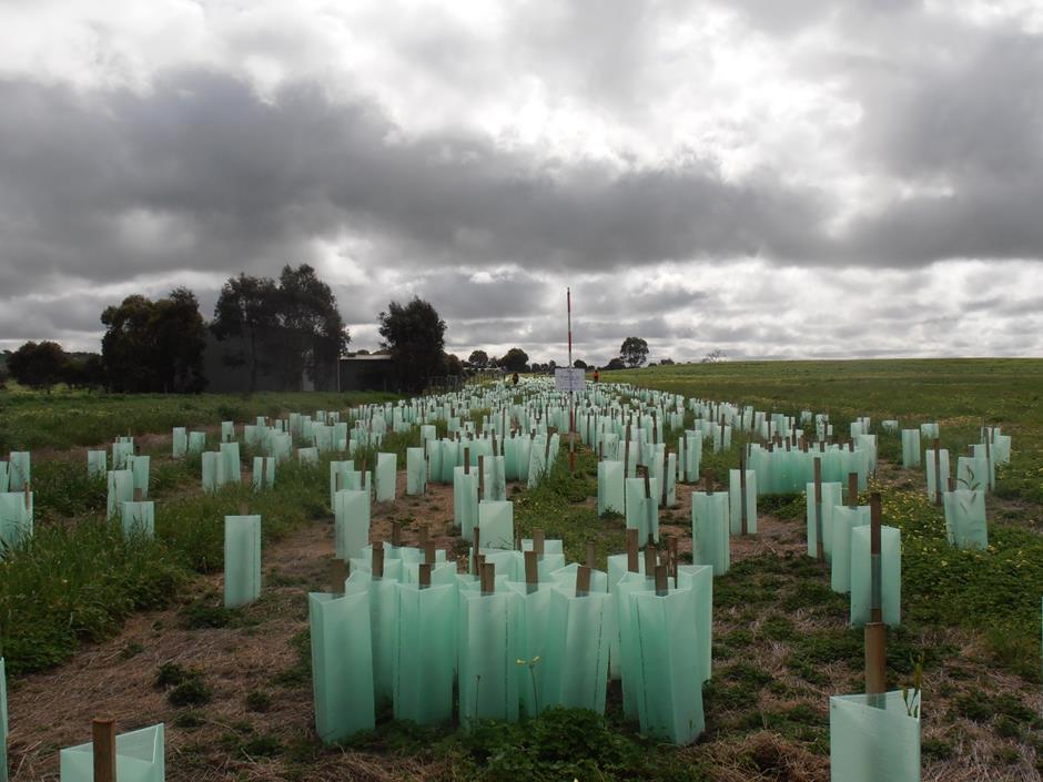 SEB Boettcher Rd Ponds significant environmental benefit