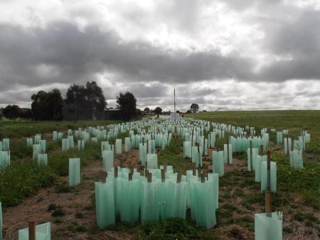 significant environmental benefit