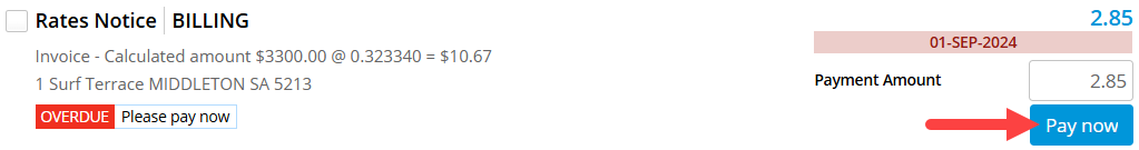 Instruction to Pay a Line Item in Pay Now Portal