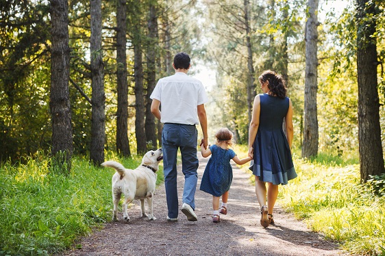 Family walking dog