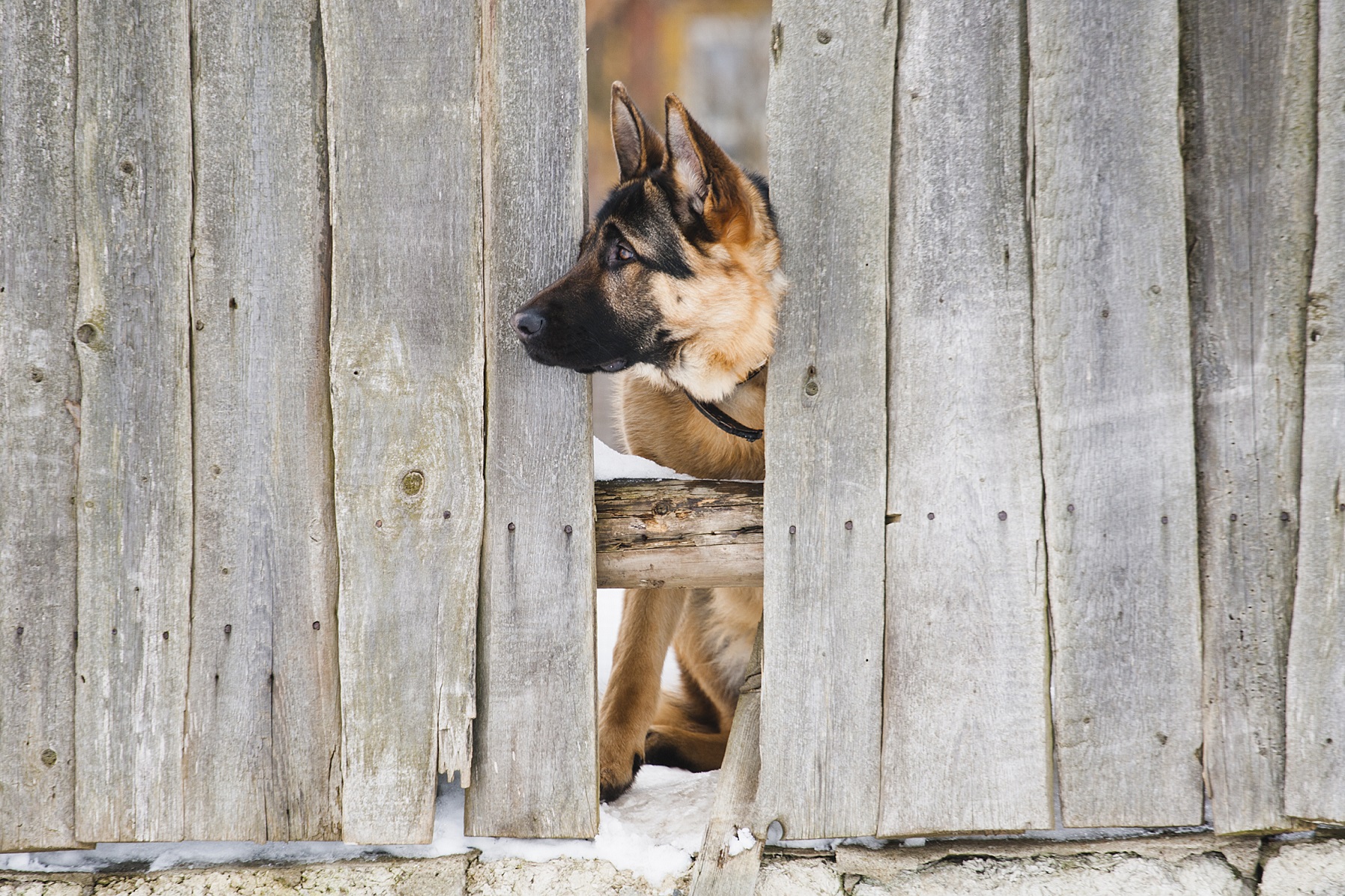 Bad fencing example