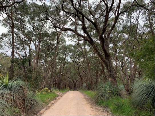 Roadside Image