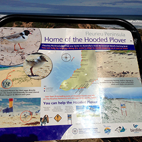 pic 20 plover sign
